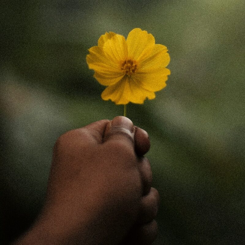 hand holding a flower