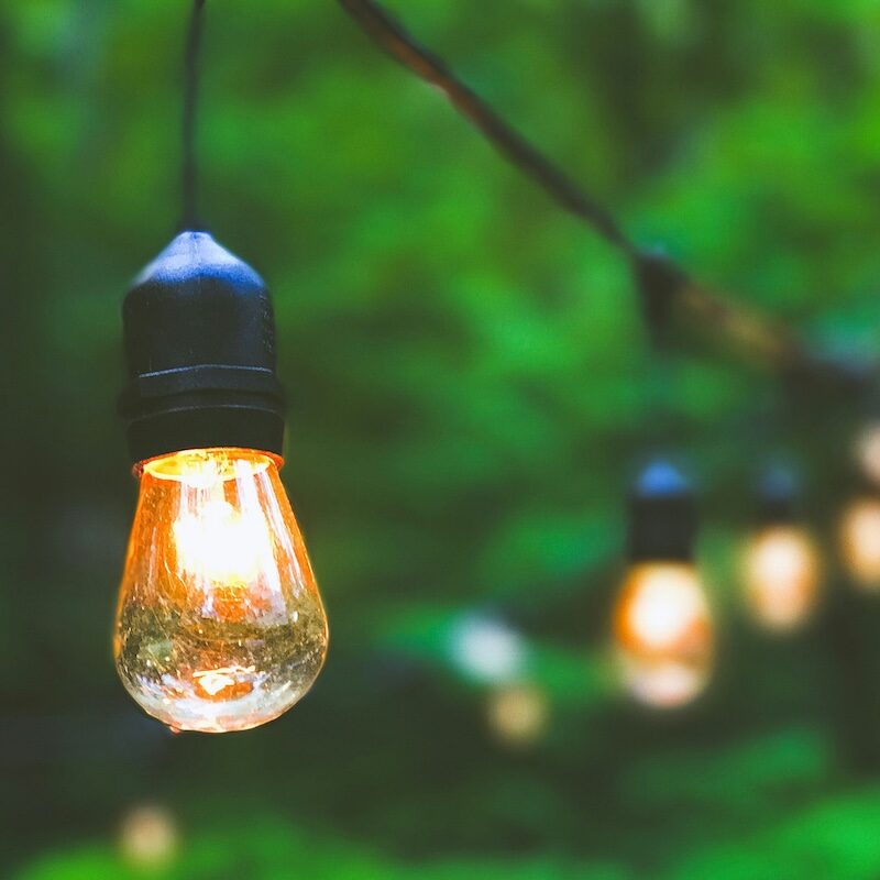 light bulbs hanging at an outdoor event